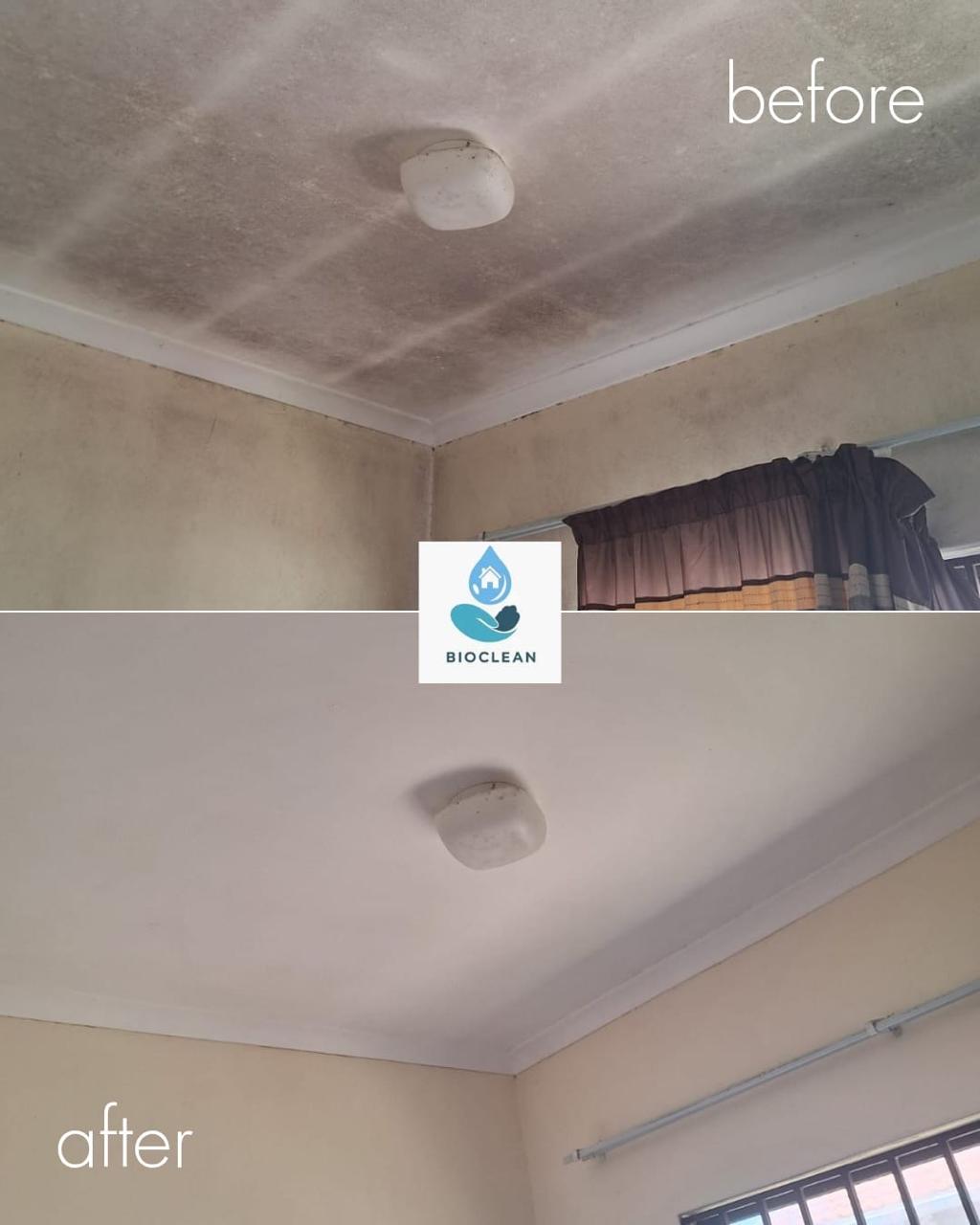 Interior ceiling before and after mould removal