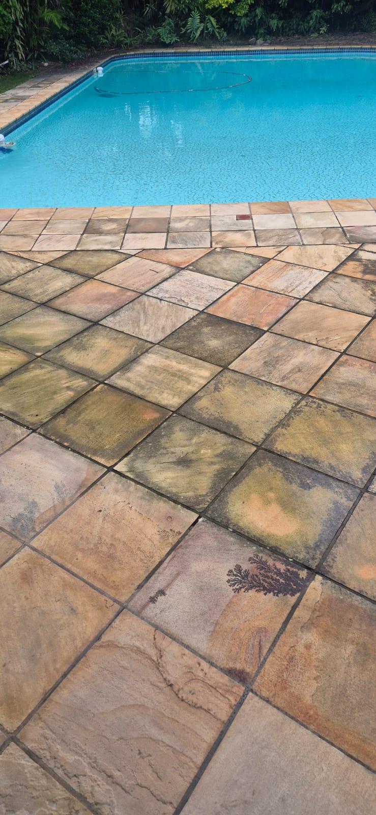 Pool deck before cleaning — algae and mould across all tiles