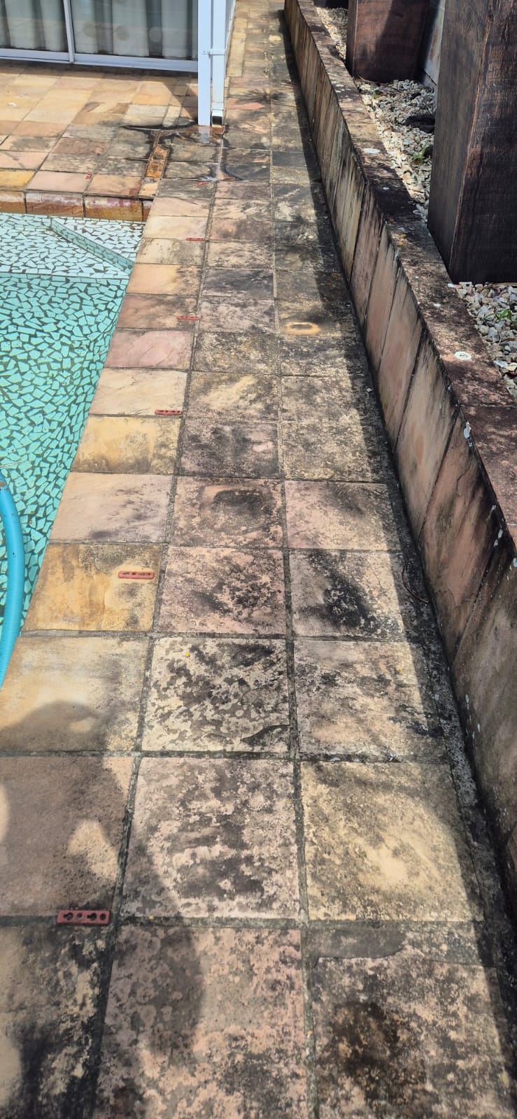 Pool surround tiles before cleaning — covered in black mould