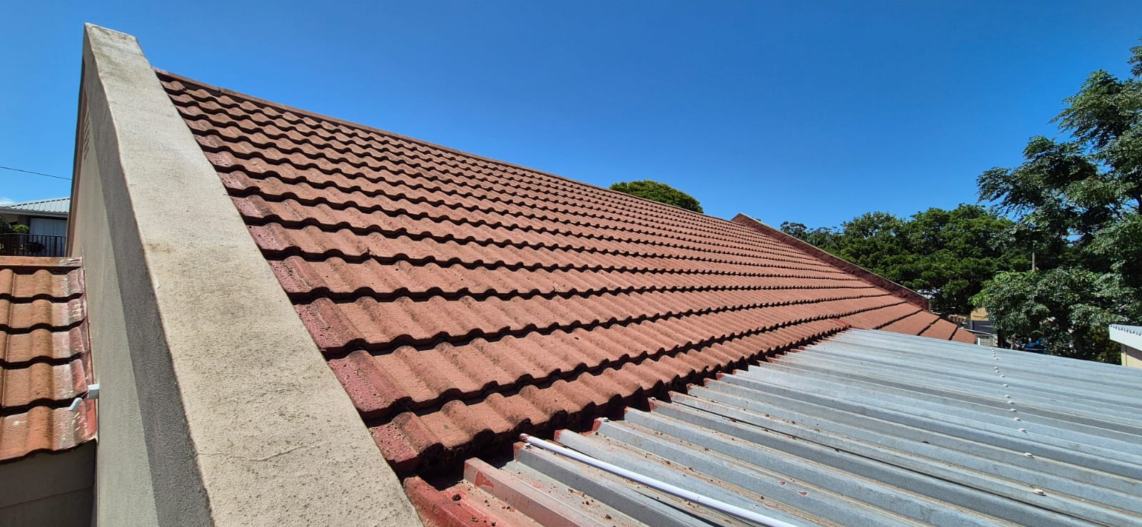 Roof tiles after cleaning — vivid terracotta colour restored