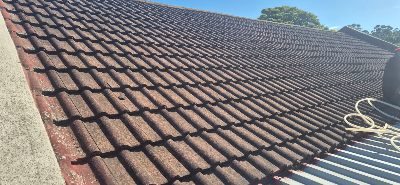 Roof tiles before cleaning — near-black mould coverage