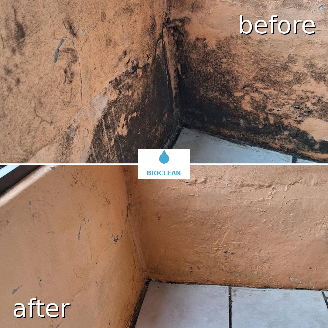 Exterior wall before and after mould removal